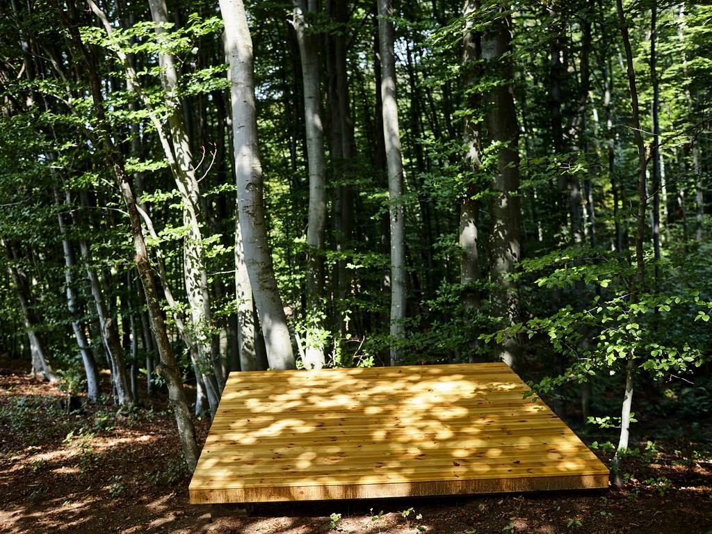 Homes Natura